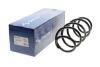 Пружина підвіски передн Лів/Прав VW CADDY IV, CADDY IV/MINIVAN, TIGUAN 1.2-2.0D 09.07-09.20 SACHS 993 374 (фото 2)