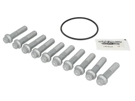 Болти кріплення гальм. дисків SAF 3 434 3663 00