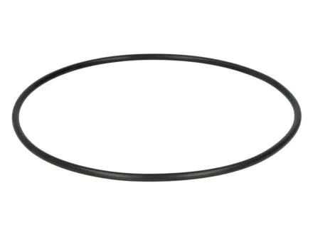 Ущільнювальне кільце SAF 4 315 0064 00