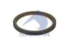 5010359807 сальник коленвала, задний (ø150xø172x13 / PTFE MM) SAMPA 079.094 (фото 1)