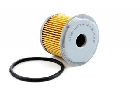 Фільтр паливний Fiat Scudo, Jumpy, Експерт, Berlingo, 1.7D-2.5D, 85-06 SHAFER FE63/1