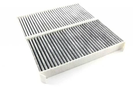 Фільтр салонний Renault Laguna III, 2 шт. вугільний SHAFER SAK426/S