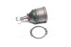 Опора кульова (передня/знизу) Honda Civic V/VI/CRX III 91-01 47284