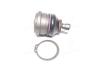 Опора кульова (передня/знизу) Mitsubishi Carisma 99-06 71282