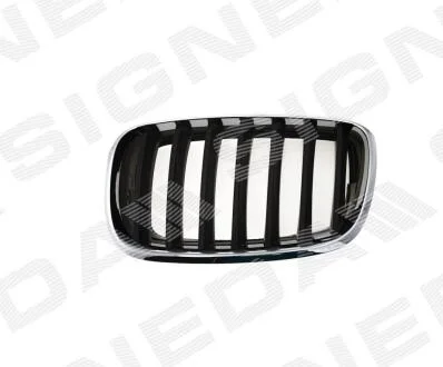 РЕШІТКА РАДІАТОРА | BMW X5 (E70), 10.06 - 04.10 Signeda PBM07053GAL