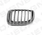 РЕШЕТКА РАДИАТОРА BMW X5 (E70), 10.06 - 04.10 Signeda PBM07053GBL (фото 1)