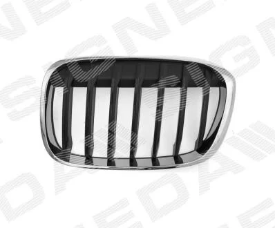 РЕШЕТКА РАДИАТОРА Signeda PBM07124GAL