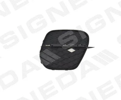 Решітка в бампер BMW X5 (E70), 04.10 - 11.13 Signeda PBM99114CAR