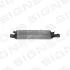 Інтеркулер AUDI Q3 (8U), 11 - 15 Signeda RI96298 (фото 1)