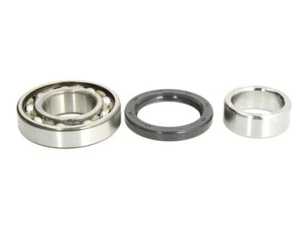 Комплект подшипника ступицы колеса SKF VKBA 3923