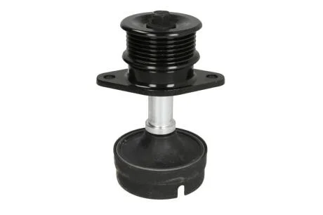 Шків генератора FORD Focus \'\'1.8TDDi \'\'99-05 SKF VKM 03404