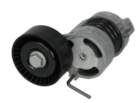 Натягувач ременя BMW 1/3/X1/X3/Z4 "1,6/2,0L "01>> SKF VKM 38236