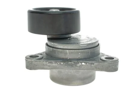 Натягувач ременя CHEVROLET/DAEWOO Aveo/Calos/Lacetti/Nubira "1,4/1,6L "03>> SKF VKM 60014