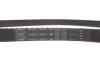 Ремкомплект ГРМ FORD Cougar/Focus/Mondeo/TourneoConnect/Transit/Connect &quot;1,6-2,0 &quot;96-13 SKF VKMA 04214 (фото 7)