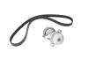 Комплект доріжкових пасків SKF VKMA 31205 (фото 2)