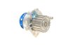 Помпа води + комплект ремня ГРМ SKF VKMC 01250-2 (фото 6)