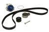 Ремкомплект ГРМ + помпа FIAT BRAVA \'\'1.9D \'\'96-01" SKF VKMC 02174 (фото 2)