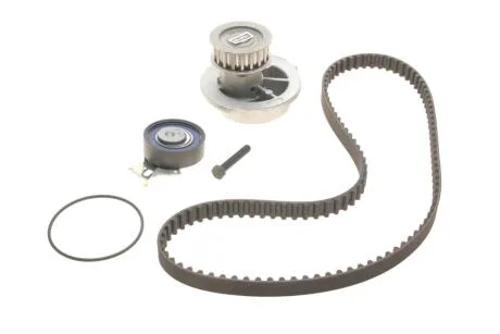 Комплект (ремінь+ролик+помпа) SKF VKMC 90202