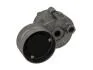 Натягувач поліклинового ременя SKF VKMCV 53011 (фото 1)