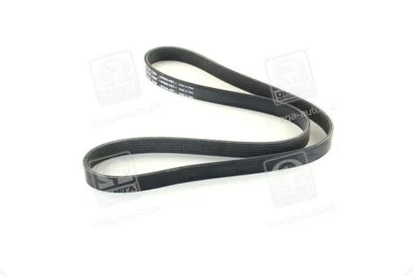 Фото 1 - ремінь поліклін. 6PK1200 SKF VKMV 6PK1200 Ремінь поліклін. 6PK1200 SKF VKMV 6PK1200 (фото 1)