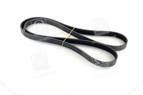 Поліклиновий ремінь (6PK1815) DACIA LOGAN, LOGAN MCV FIAT BARCHETTA, DOBLO, DOBLO/MINIVAN, PALIO, PUNTO, STRADA RENAULT LAGUNA II, LAGUNA III, LOGAN I, THALIA II 1.6/1.8/1.9D 04.95- SKF VKMV 6PK1815