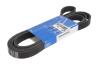 Доріжковий пас SKF VKMV 6PK2545 (фото 1)