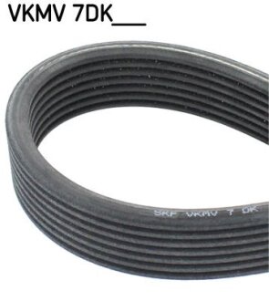 Доріжковий пас SKF VKMV 7DK1697