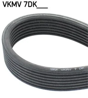Доріжковий пас SKF VKMV 7DK1697