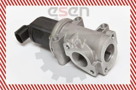 Клапан системи рециркуляції ВГ SKV GERMANY 14SKV055