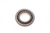 Подшипник КПП (28x55x13.75mm) SNR EC42193Y S02 H206 (фото 2)