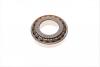 Подшипник КПП (28x55x13.75mm) SNR EC42193Y S02 H206 (фото 4)