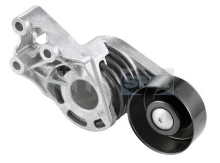 Натяжник паса поліклинового Skoda/VW/Audi 1.2 TDi, 1.4TDi SNR GA357.20