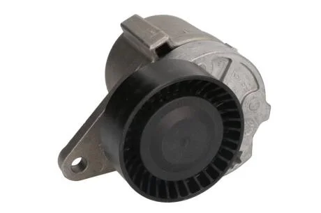 Натягувач SNR GA365.31