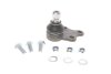 Опора шаровая (передняя/снизу) MB Vito (W639) 2.0CDI/2.2CDI 03- Solgy 203038 (фото 1)