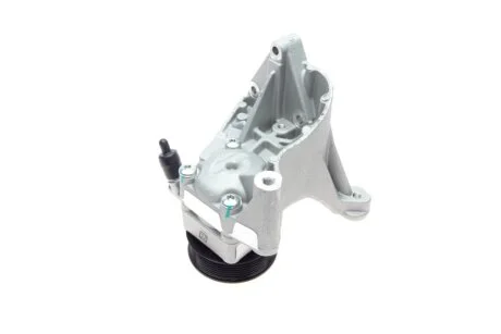 Насос гідропідсилювача Solgy 207105