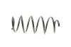 Пружина підвіски Solgy 212017 (фото 4)