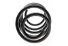 Пружина (передняя) VW T5 1.9TDI/Multivan V 1.9 TDI 03-15 Solgy 212022 (фото 4)