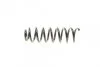 Пружина підвіски Solgy 212048 (фото 4)
