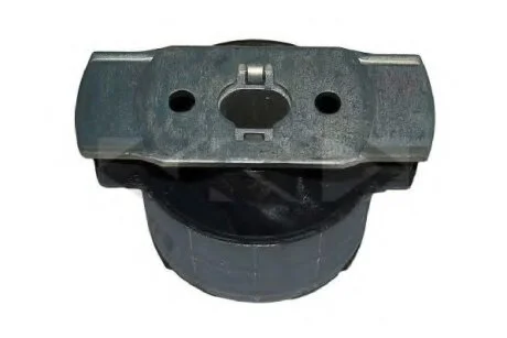 Сайлентблок Renault Laguna III SPIDAN 411719