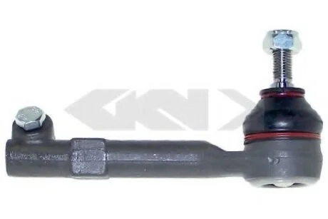 Наконечник рул. тяг Renault Kangoo (99-07), Megane I, Scenc I, Sumbol (без ГПК) правий R SPIDAN 44899