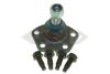 Опора кульова Fiat Ducaro-Peugeot Boxer (02-06) нижня (1.8T) SPIDAN 57018 (фото 1)