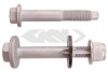 Монтажний комплект (болти, гайки) Ford Focus SPIDAN 58397 (фото 1)