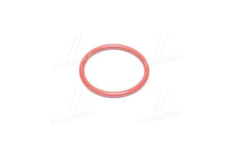 Кільце ущільнювальне водяного насоса Rodius, Stavic, Actyon, Kyron, Musso, Chairman, Actyon Sports, SSANGYONG 0179972148
