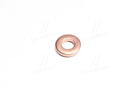 Кольцо форсунки уплотнительное SSANGYONG 6650170060