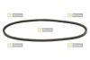 Ремень клиновидный 13x825 STARLINE SR 13X825 (фото 1)