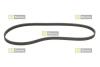 Поликлиновый ремень Honda:Civic/Hyundai:Accent/Nissan:Almera,Primera STARLINE SR 4PK825 (фото 1)
