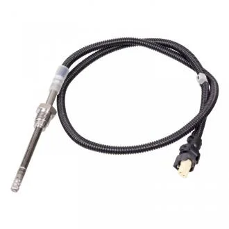 Датчик температури ВГ SWAG 10 10 0828