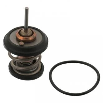 Термостат AUDI A3/A4/A5/A6/Q3/Q5/TT 04- 1.8TFSI/2.0TFSI SWAG 30934782