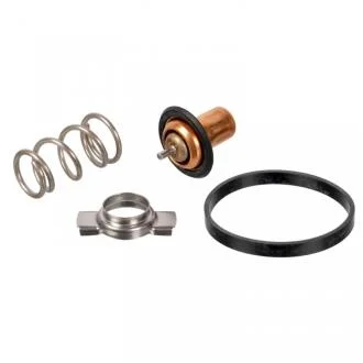 Термостат, охолоджувальна рідина SWAG 33 10 1629