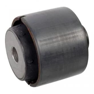 Опора, диференціал SWAG 33 10 3921